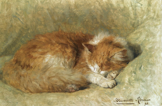 Ronner-Knip - Vörös macska sziesztája