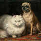 Ronner-Knip - Kutya és macska barátsága