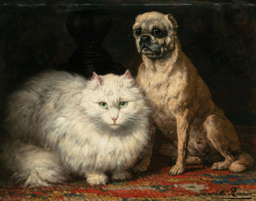 Ronner-Knip - Kutya és macska barátsága
