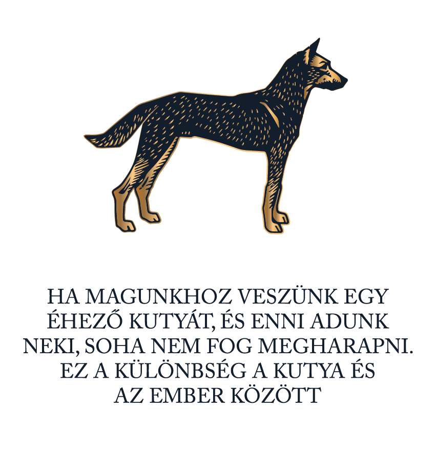 Kutyahála - póló