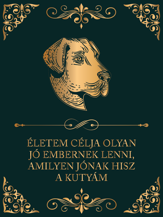 Amilyen jó embernek hisz a kutyám