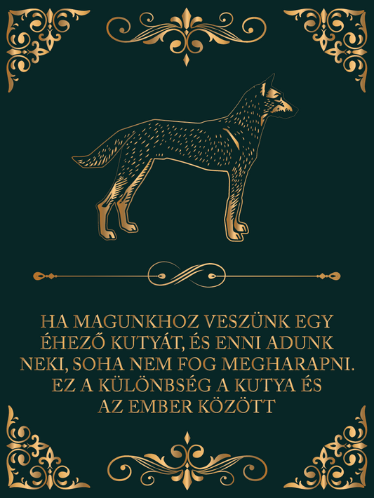 Különbség kutya és ember közt