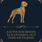 Kutyamindenség