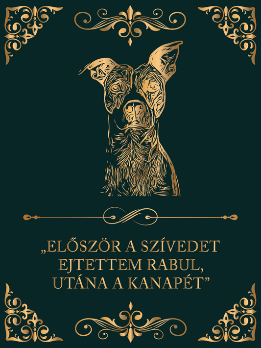 Először a szívedet...