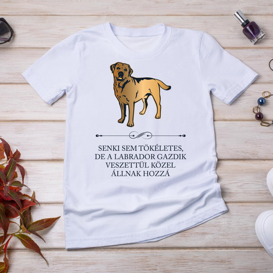 Tökéletes Labrador gazdik - kutyás póló