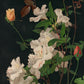 George Lambdin - Azálea és rózsák