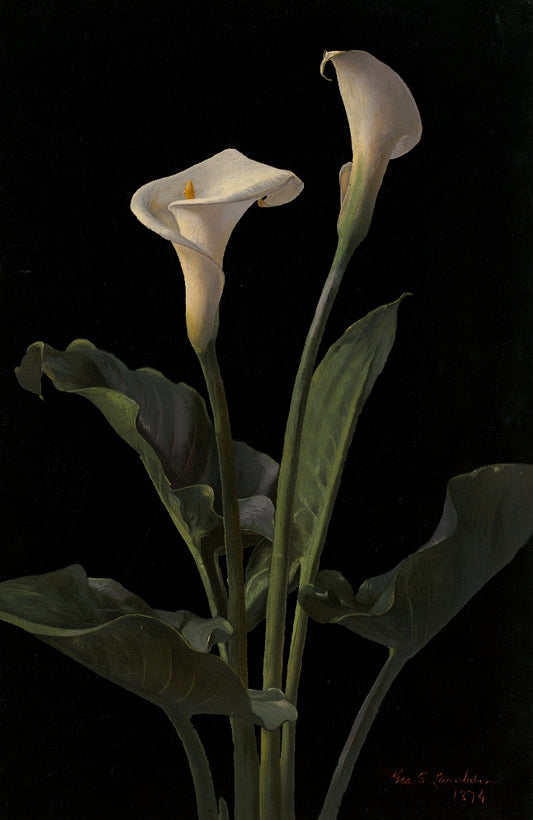 George Lambdin - Kála