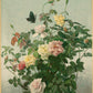 George Lambdin - Rózsák
