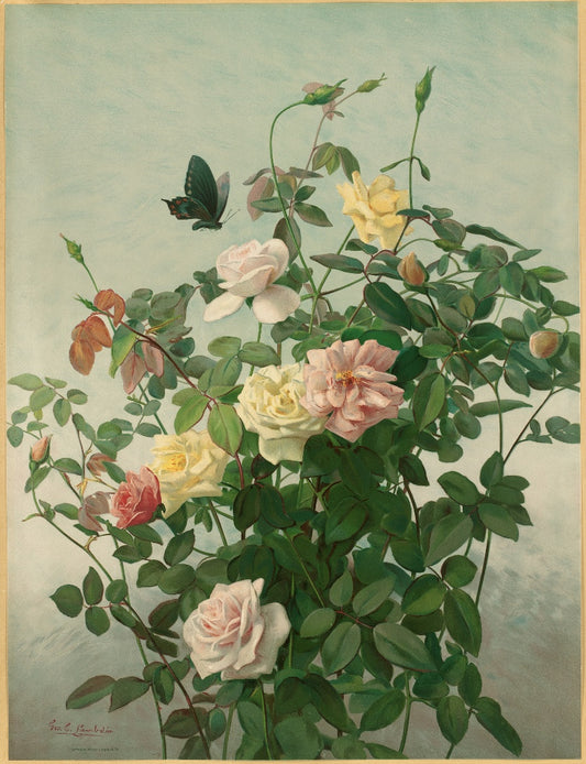 George Lambdin - Rózsák