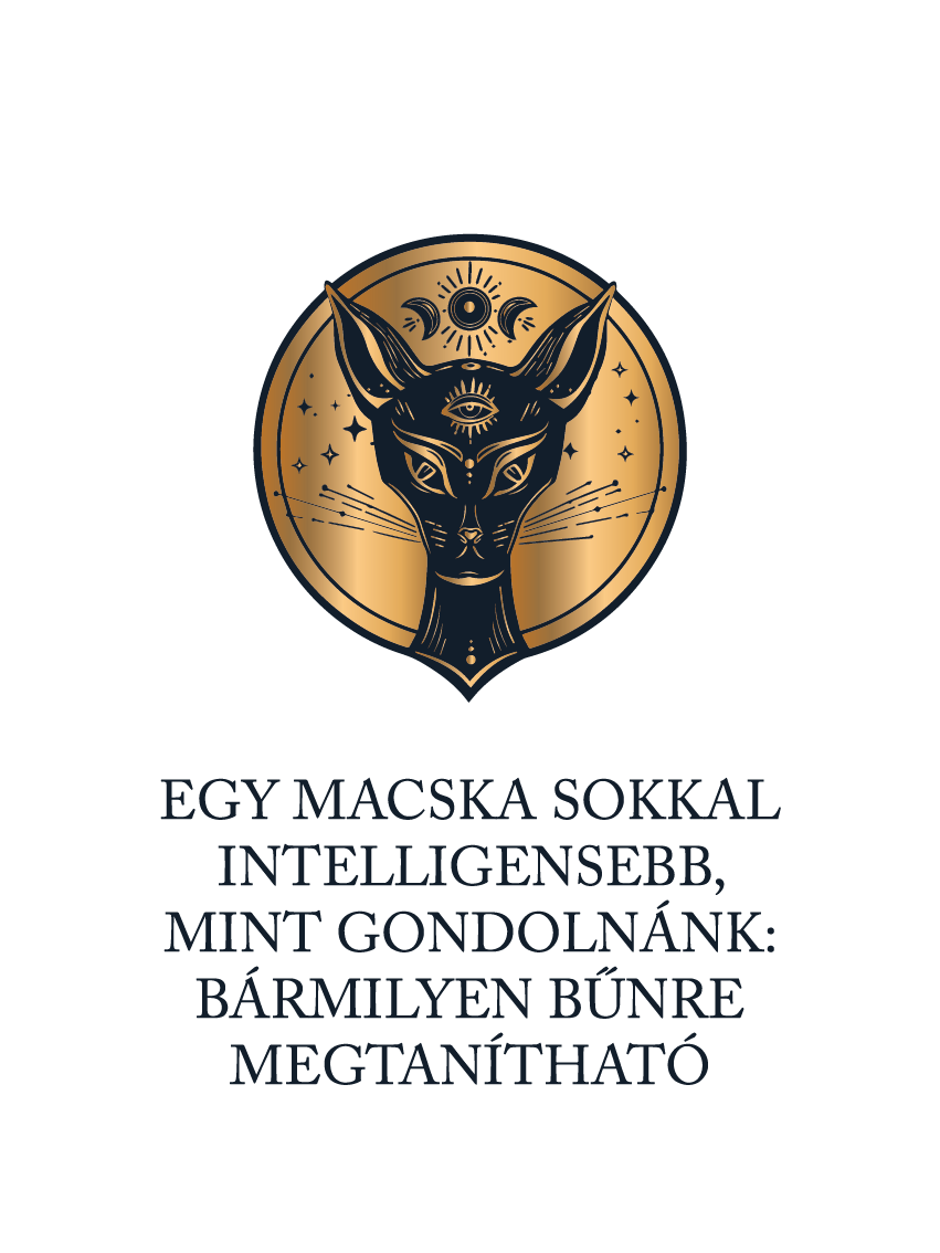 Macskaintelligencia - macskás idézetes póló
