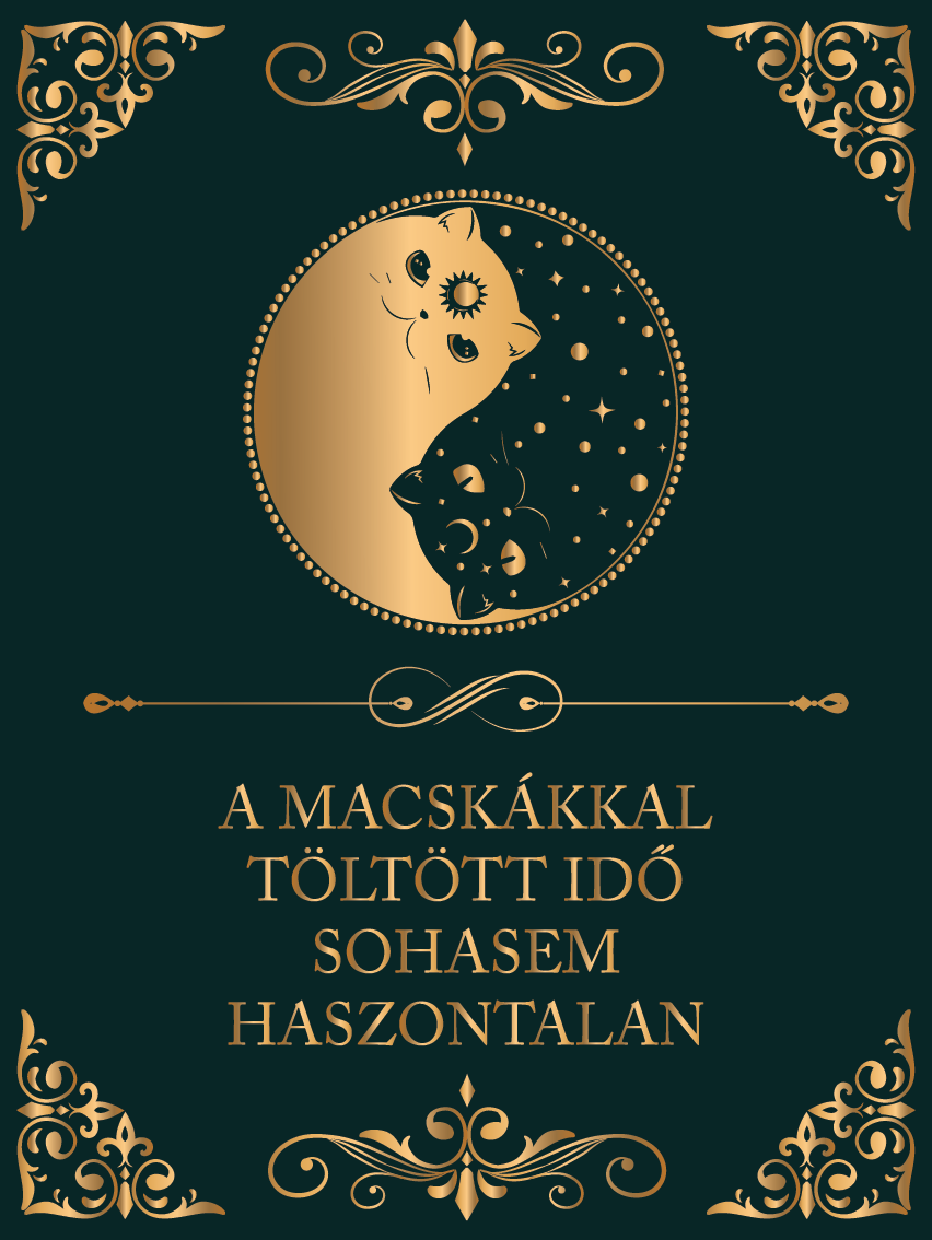 A macskákkal töltött idő