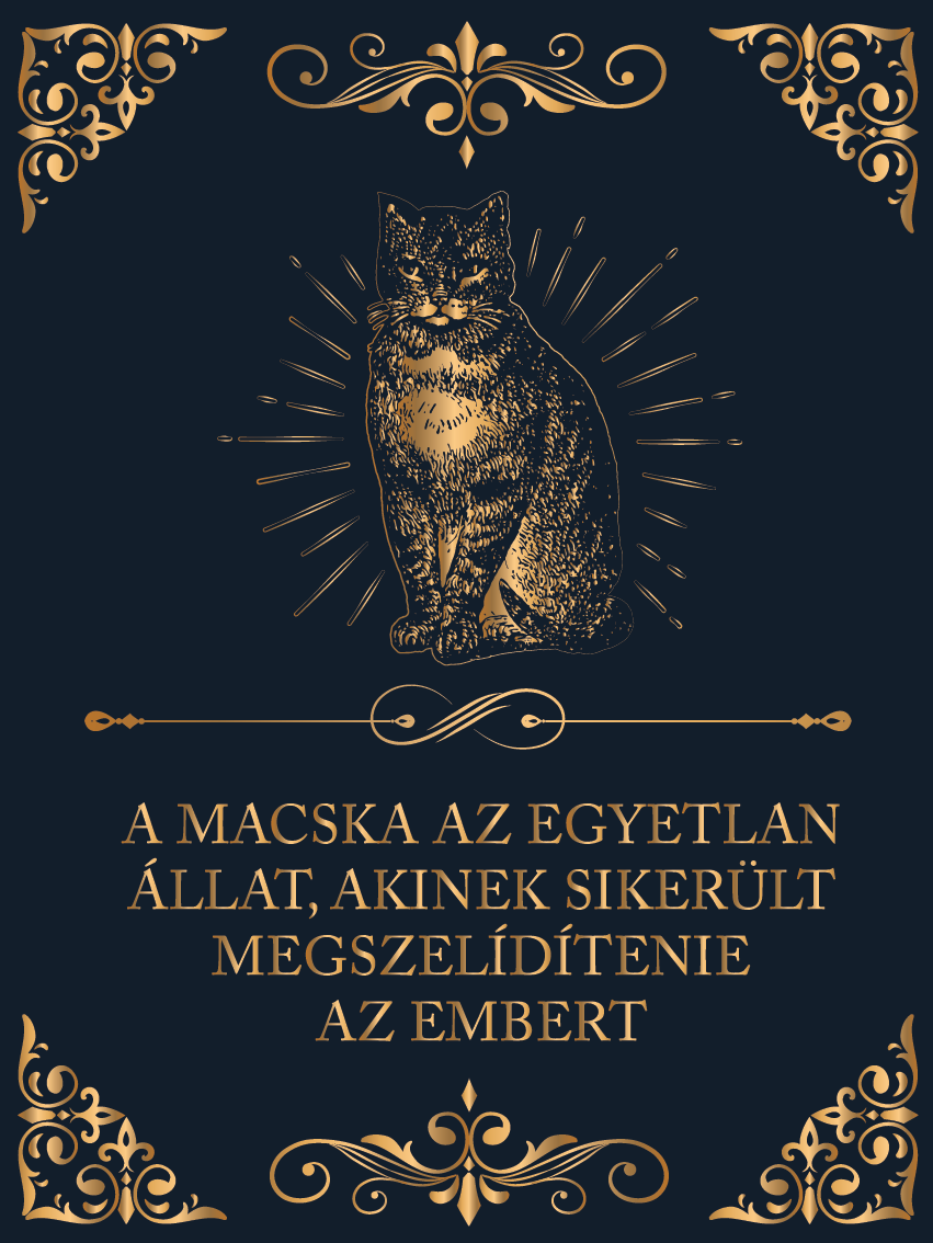 A macska az egyetlen állat