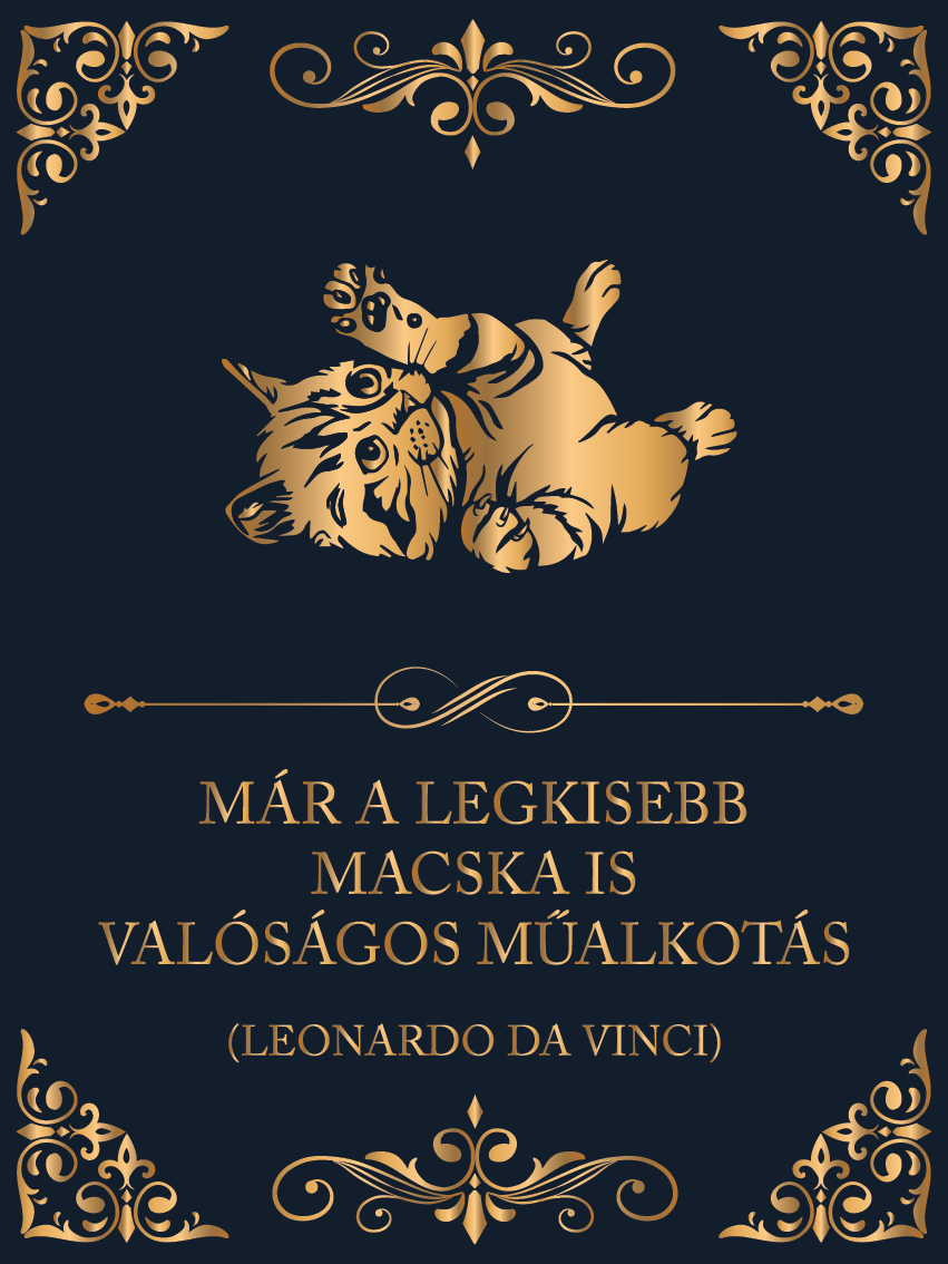 Macska = műalkotás