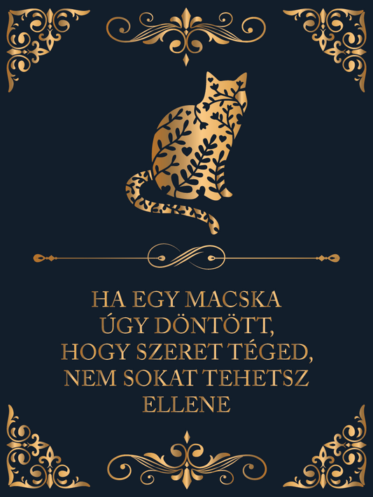 Ha egy macska szeret téged