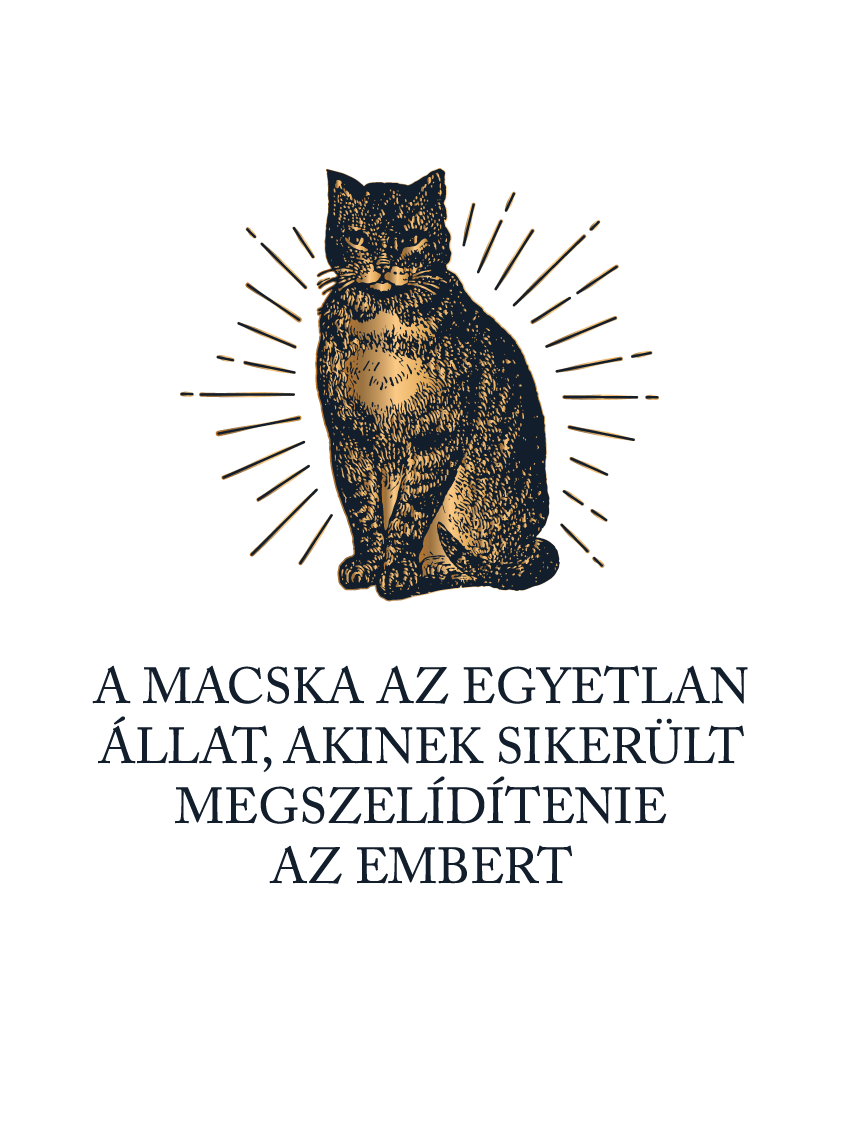 Macskaszelídítés - macskás idézetes póló