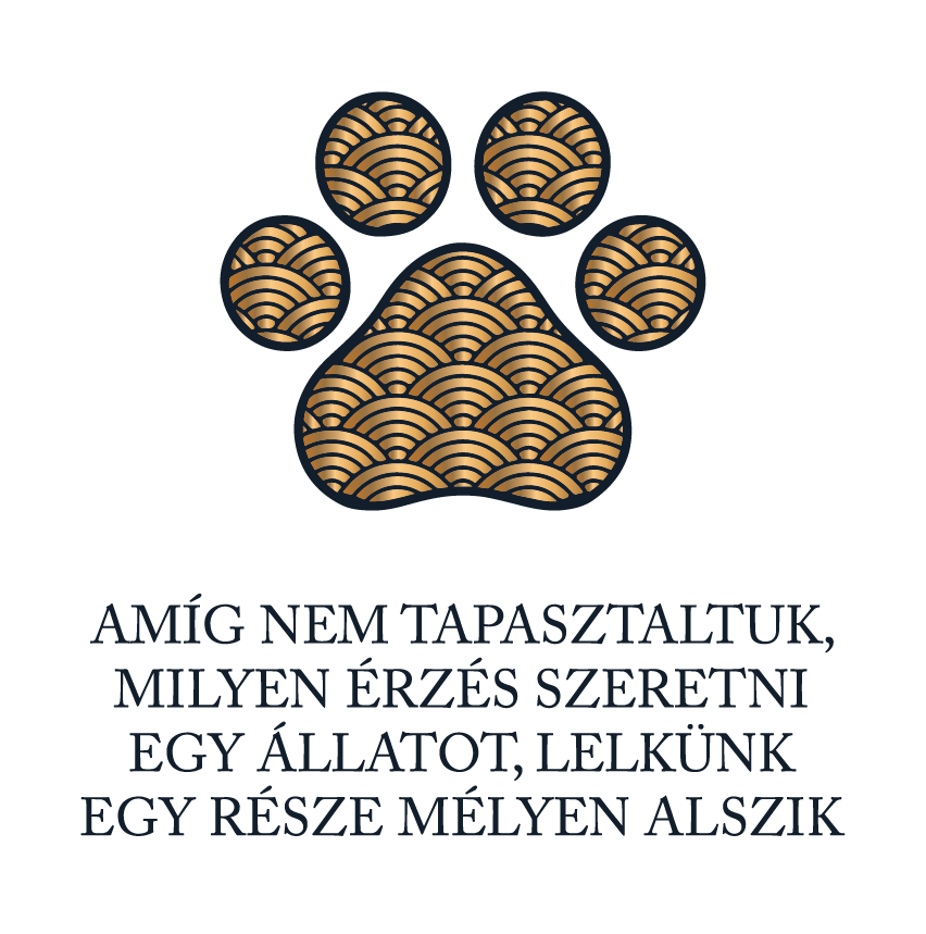 Milyen szeretni egy állatot - póló