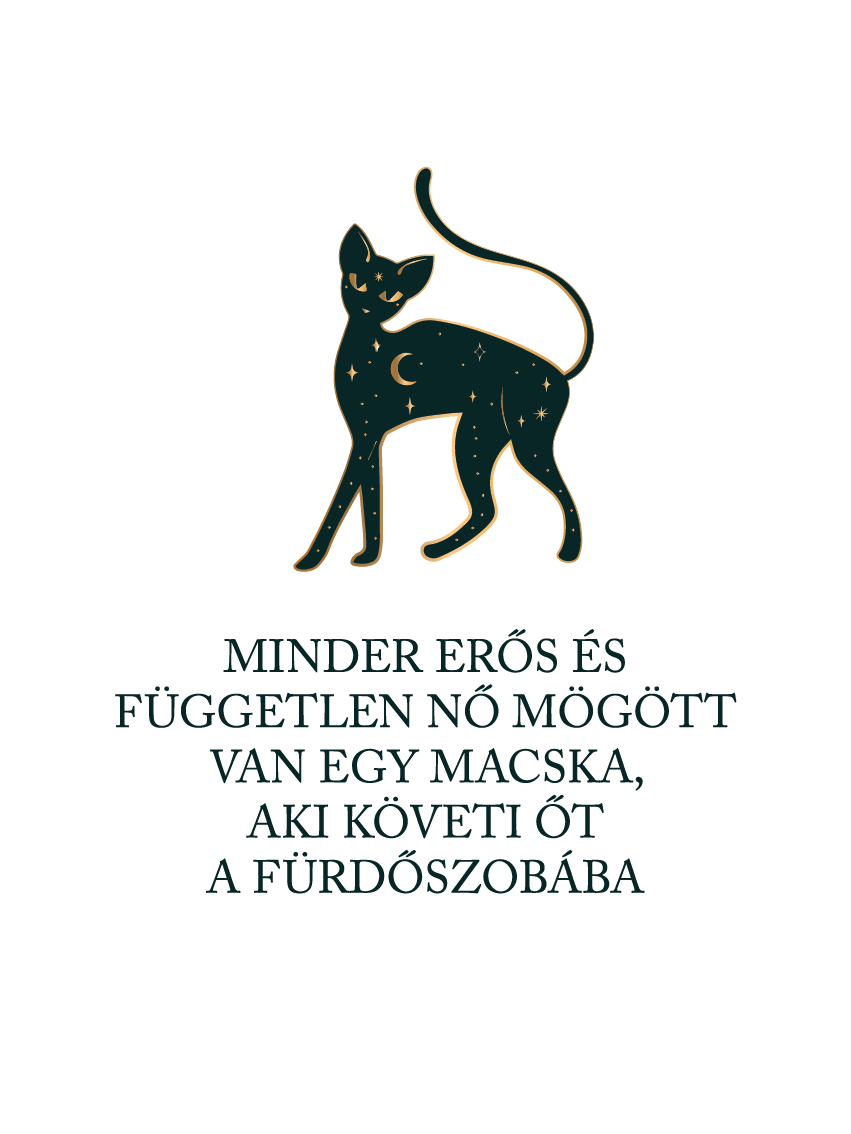 Minden független nő mögött macska - póló