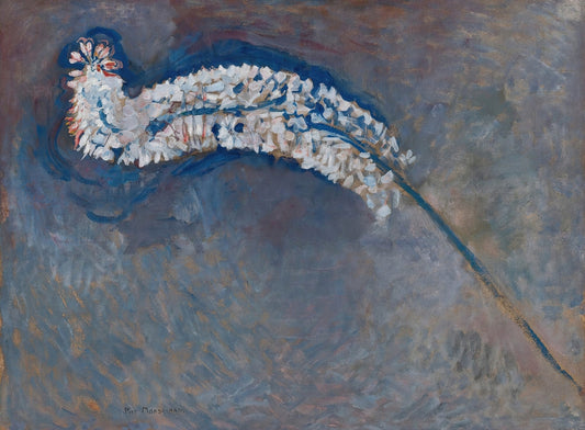 Mondrian - Rókafarkú liliom