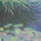 Claude Monet - Tavirózsák