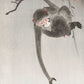 Ohara Koson - Ágról csüngve