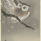 Ohara Koson - Bagoly