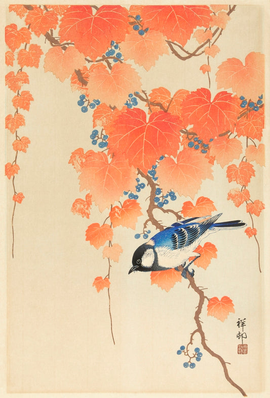 Ohara Koson - Cinege a vadszőlősben