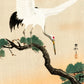 Ohara Koson - Darvak a fán