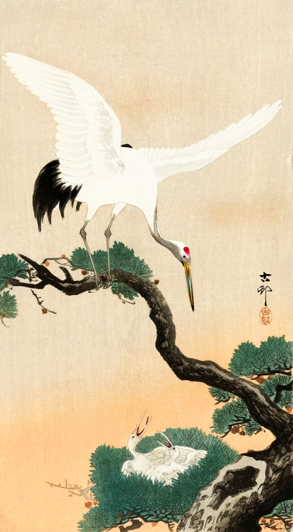 Ohara Koson - Darvak a fán