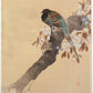 Ohara Koson - Fácán virágzó ágon