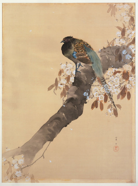 Ohara Koson - Fácán virágzó ágon