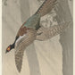 Ohara Koson - Fácánkakas