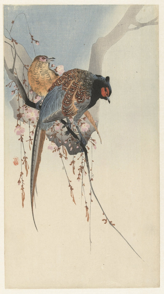 Ohara Koson - Fácánok