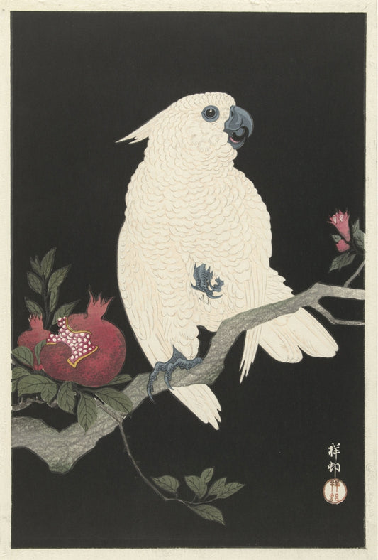 Ohara Koson - Fehér papagáj