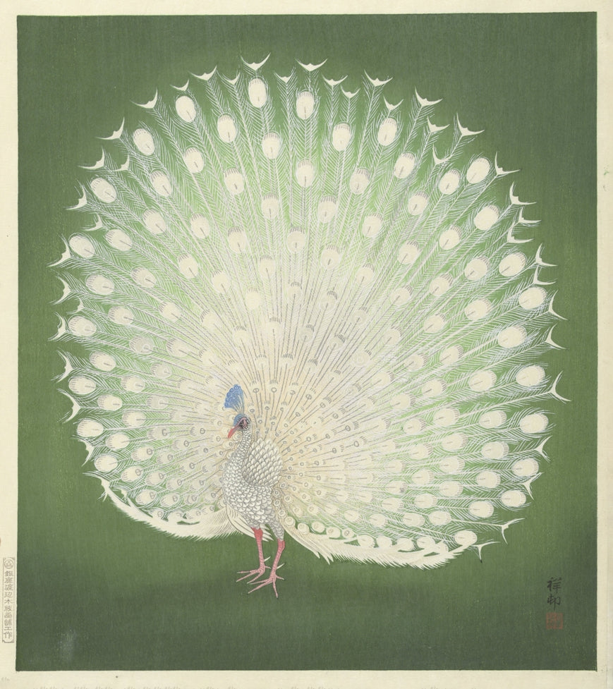 Ohara Koson - Fehér páva