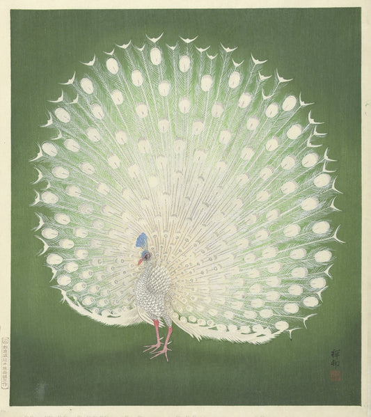 Ohara Koson - Fehér páva