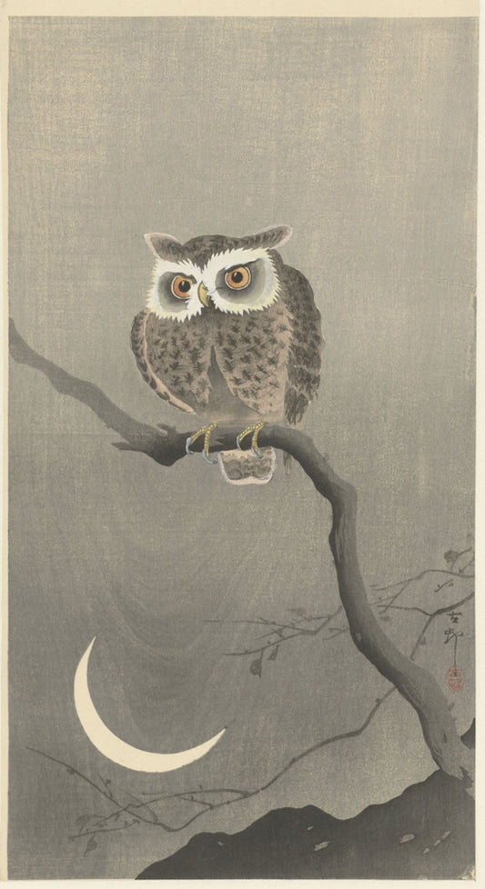 Ohara Koson - Fürkésző bagoly