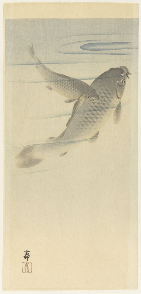 Ohara Koson - Két ponty