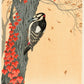 Ohara Koson - Harkály