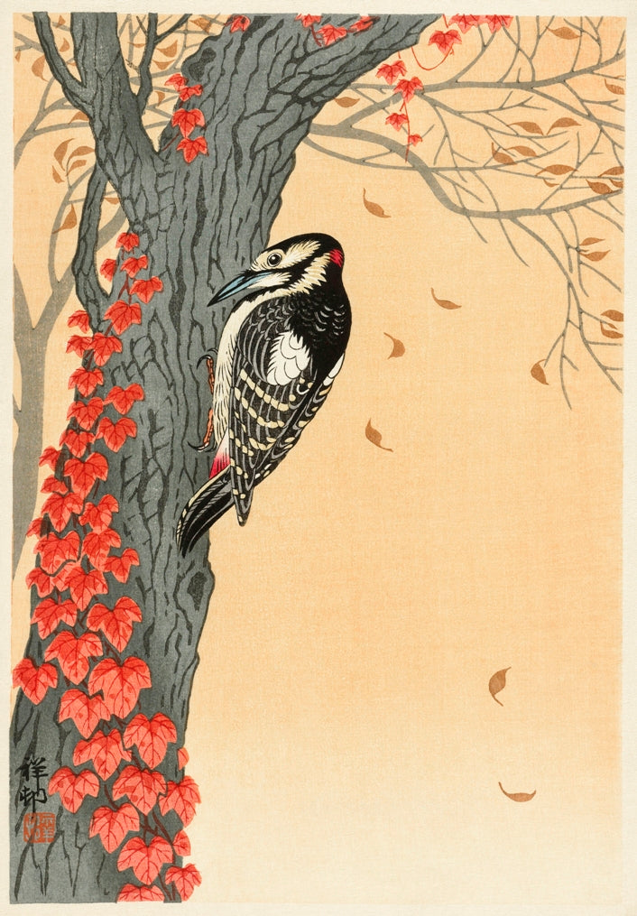 Ohara Koson - Harkály