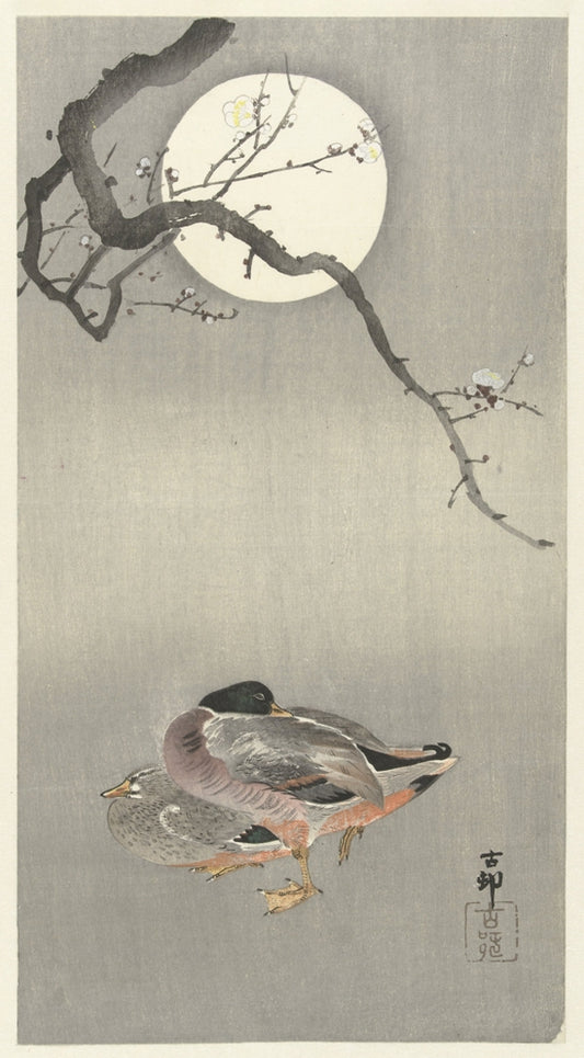 Ohara Koson - Vadkacsák holdényben