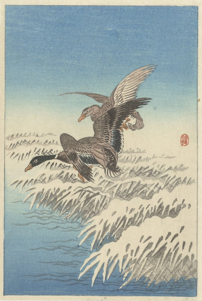 Ohara Koson - Vadkacsák a havas nád felett