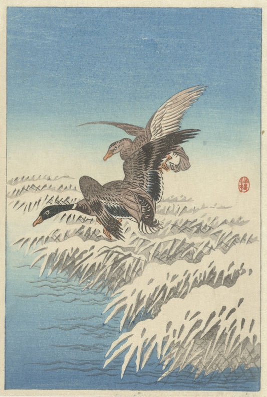 Ohara Koson - Vadkacsák a havas nád felett