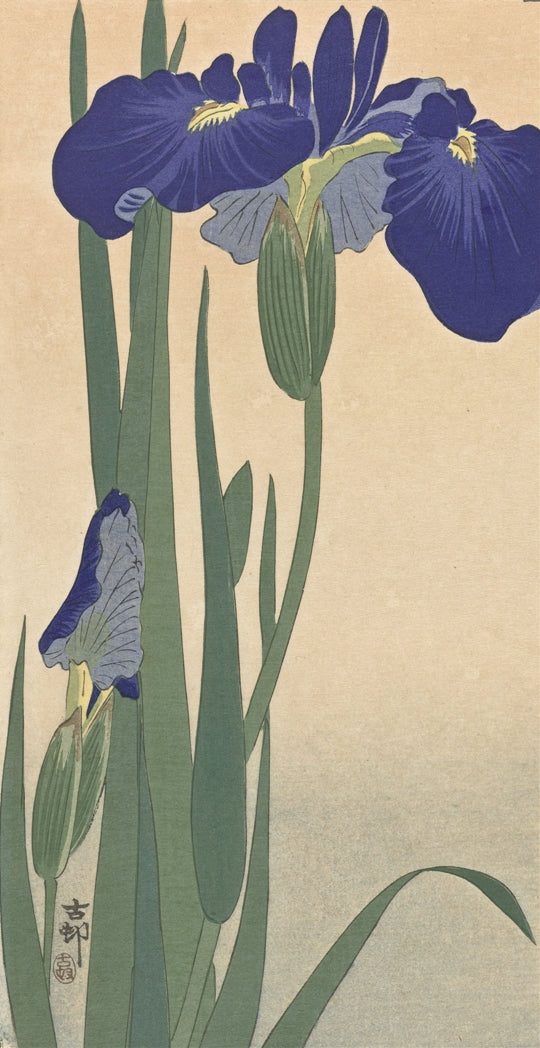 Ohara Koson - Kék íriszek
