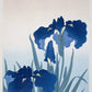 Ohara Koson - Íriszek