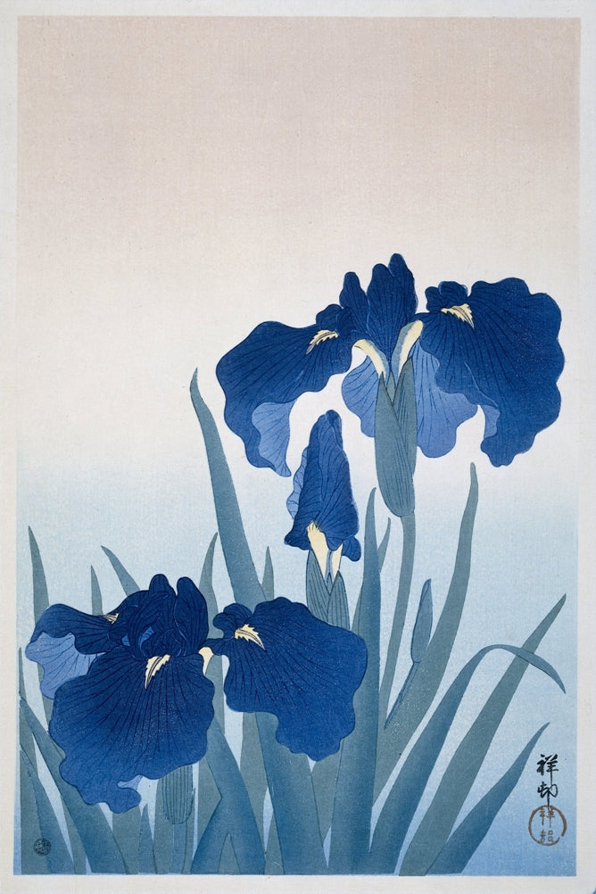 Ohara Koson - Íriszek