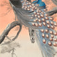 Ohara Koson - Két páva az ágon