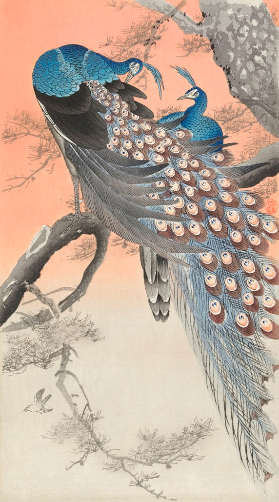 Ohara Koson - Két páva az ágon