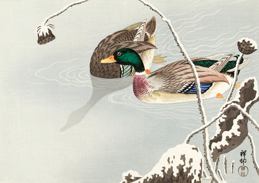 Ohara Koson - Úszkáló vadkacsák