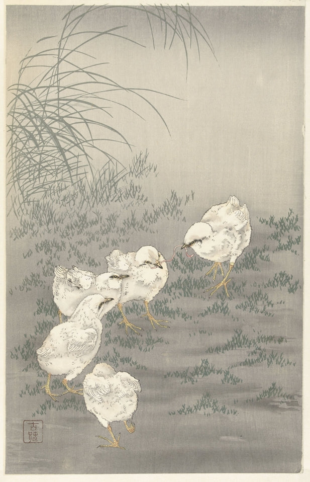 Ohara Koson - Kiscsirkék kukaccal