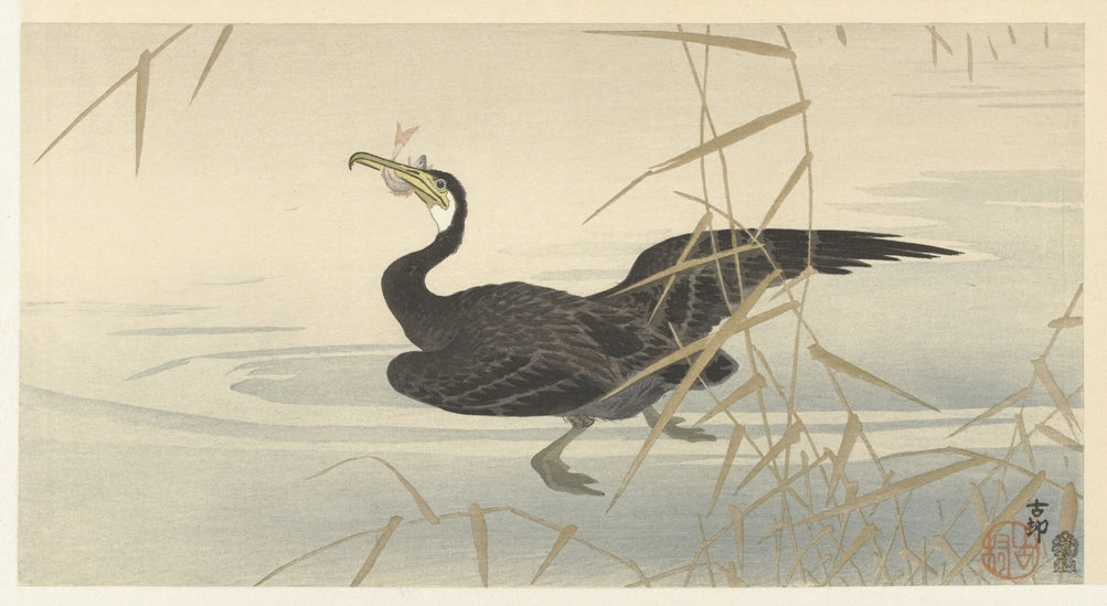 Ohara Koson - Kormorán hallal